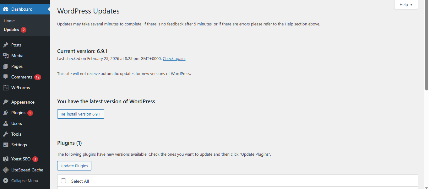 WordPress updates dashboard showing current core version and plugin update management in admin panel.